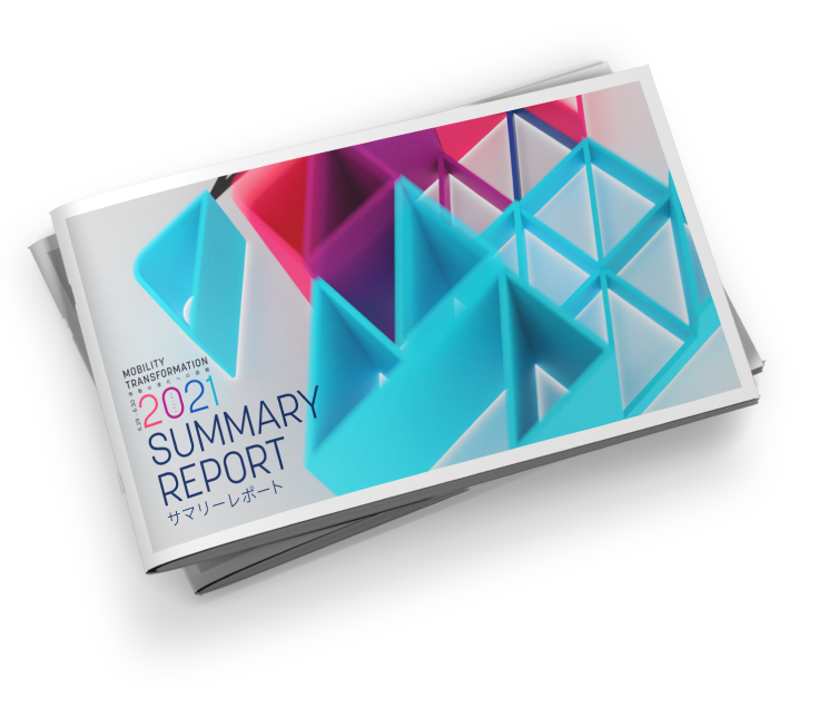 summary report 2021